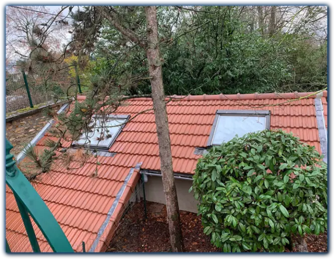 Démoussage de toiture Val-d'Oise 95