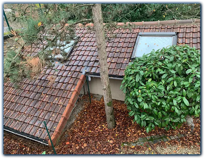 Nettoyage de toiture Val-d'Oise 95